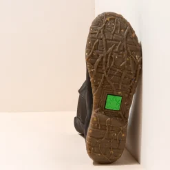 Botte^El Naturalista 5469 Angkor