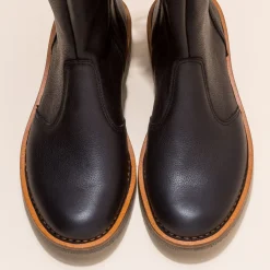 Botte^El Naturalista 5577 Volcano