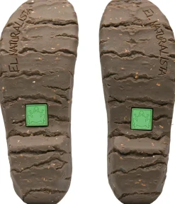 Sabot^El Naturalista Ng96 Yggdrasil